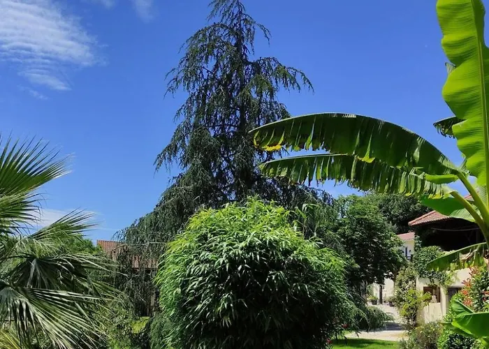 Vakantiehuis In Mit Privatem Pool By Interhome